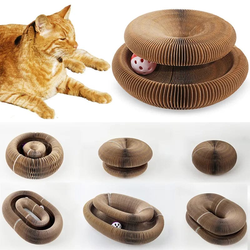 Catcordion : Jouet pour Chat interactif | Trendy Shop Genius