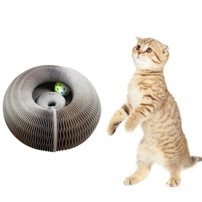 Catcordion : Jouet pour Chat interactif | Trendy Shop Genius