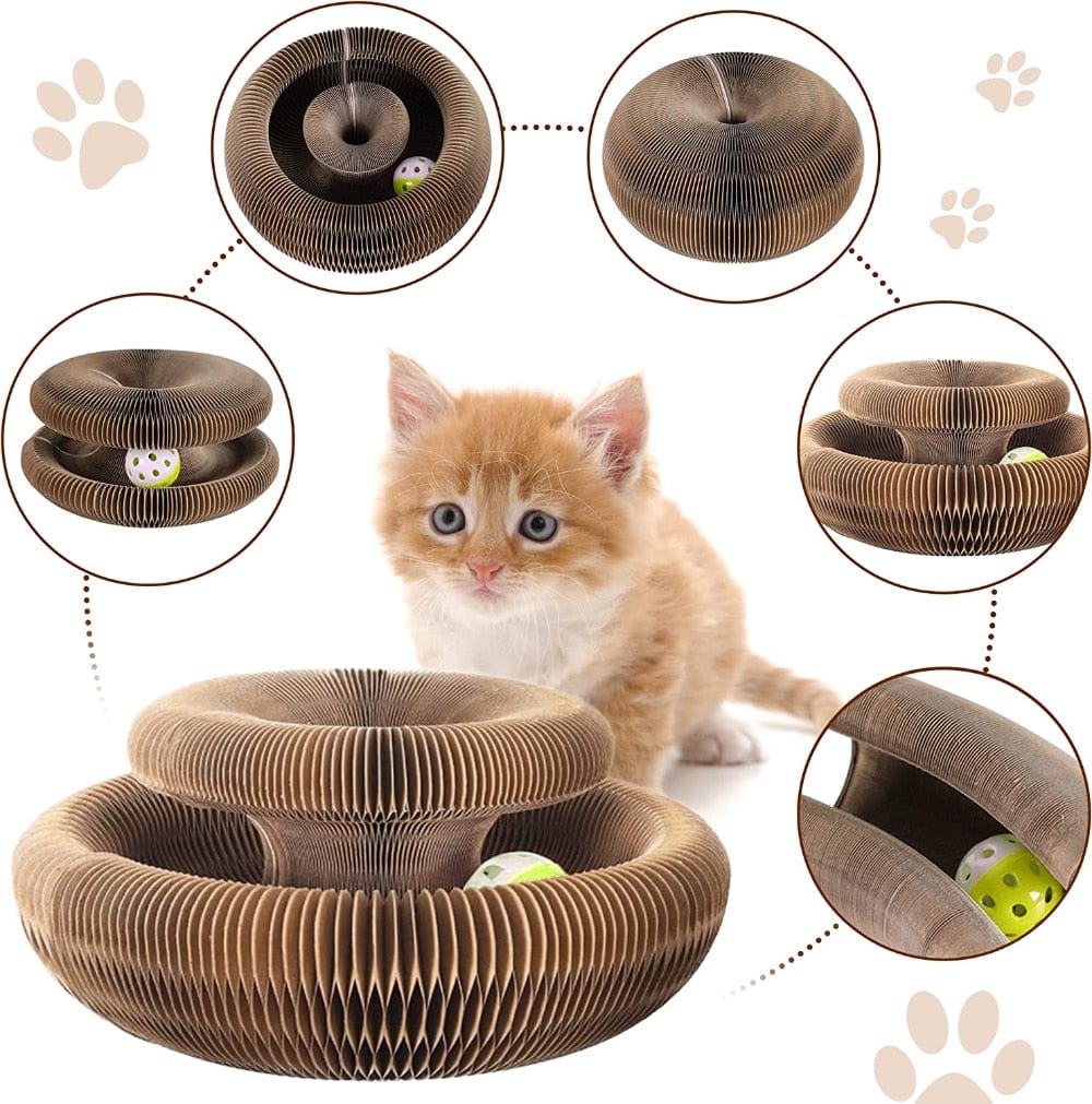 Catcordion : Jouet pour Chat interactif | Trendy Shop Genius