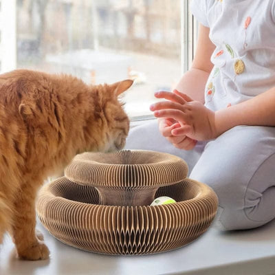 Catcordion : Jouet pour Chat interactif | Trendy Shop Genius